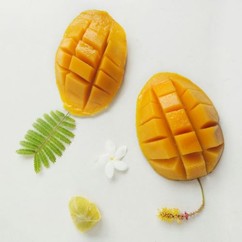 Mango kúra pre suché vlasy